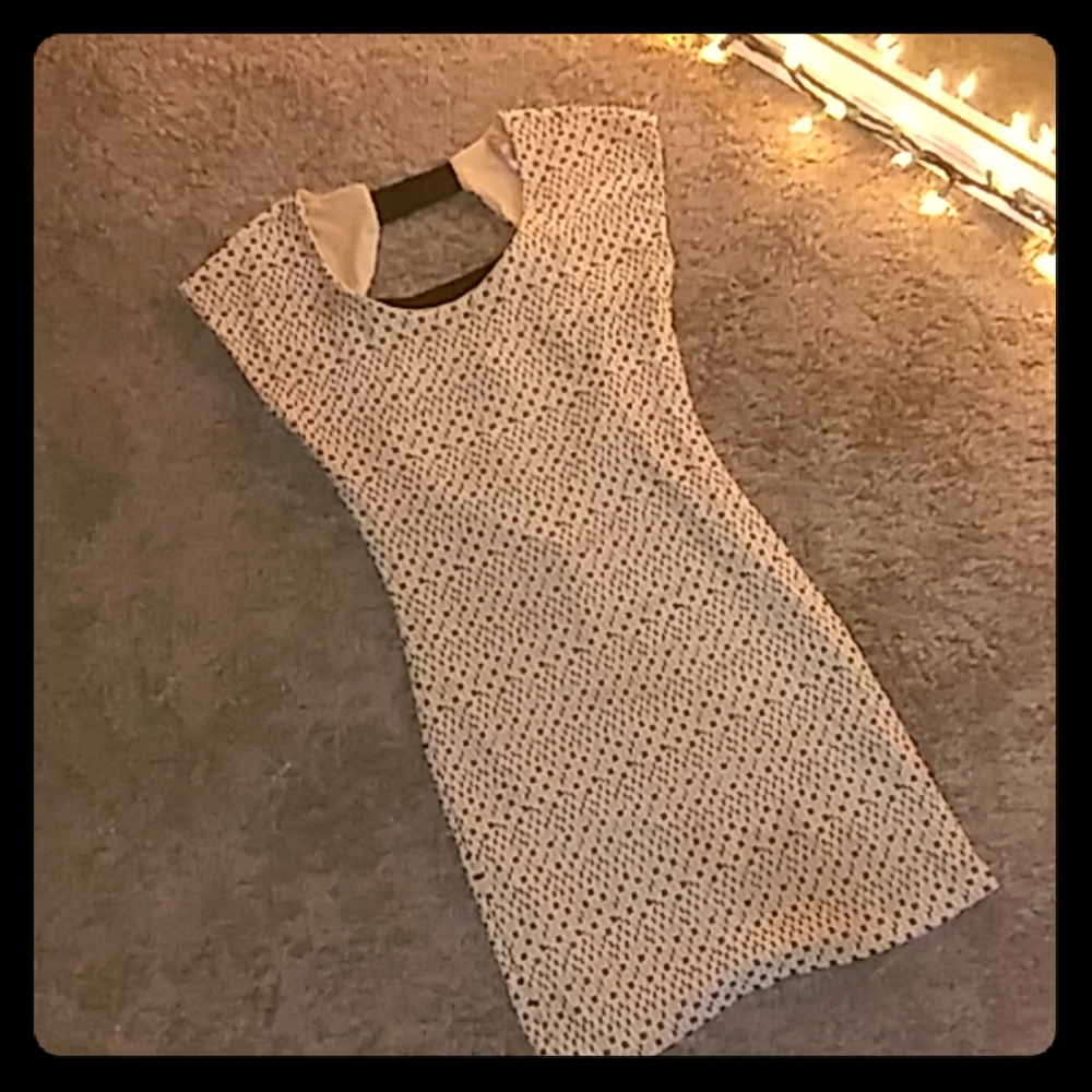 Black & Tan open back mini